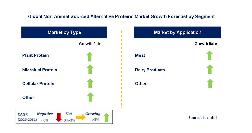 Non-Animal-Sourced Alternative Proteins Market by Segment